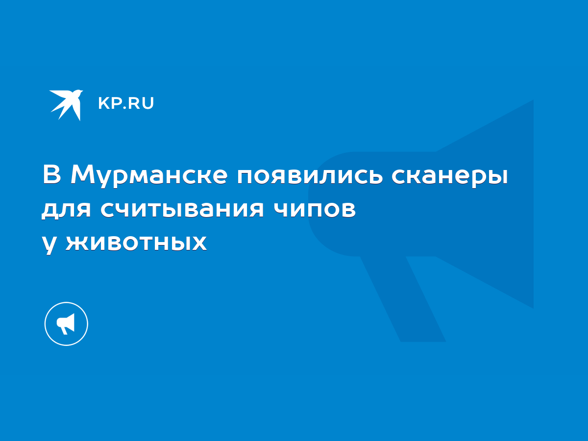 В Мурманске появились сканеры для считывания чипов у животных - KP.RU