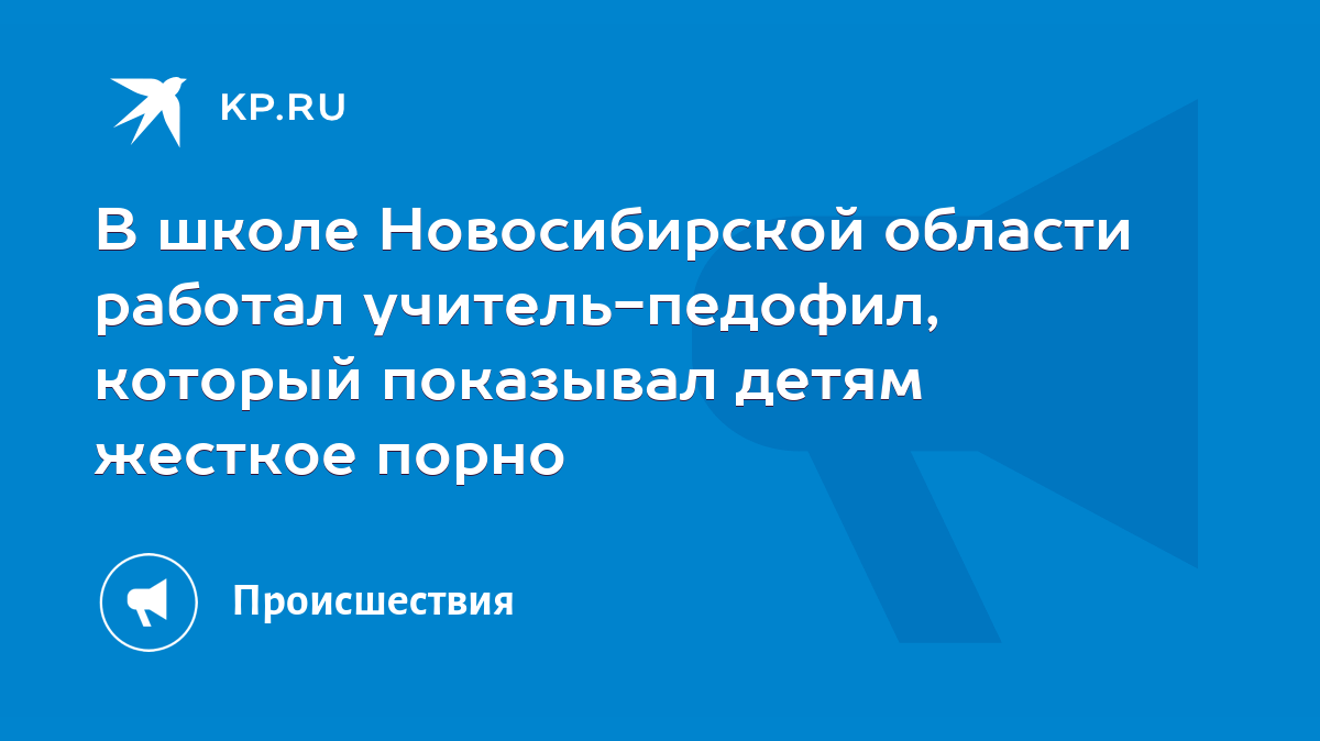 В школе Новосибирской области работал учитель-педофил, который показывал  детям жесткое порно - KP.RU