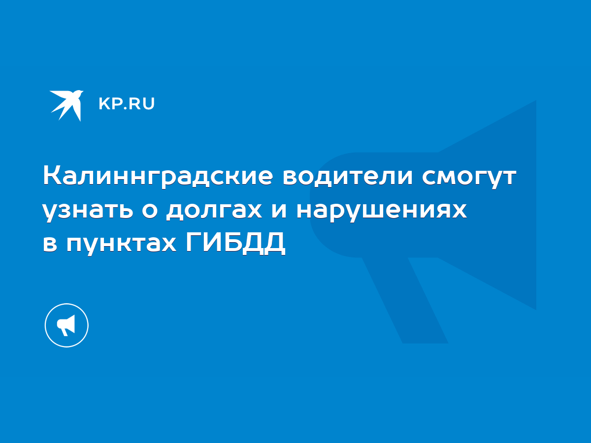 Калиннградские водители смогут узнать о долгах и нарушениях в пунктах ГИБДД  - KP.RU