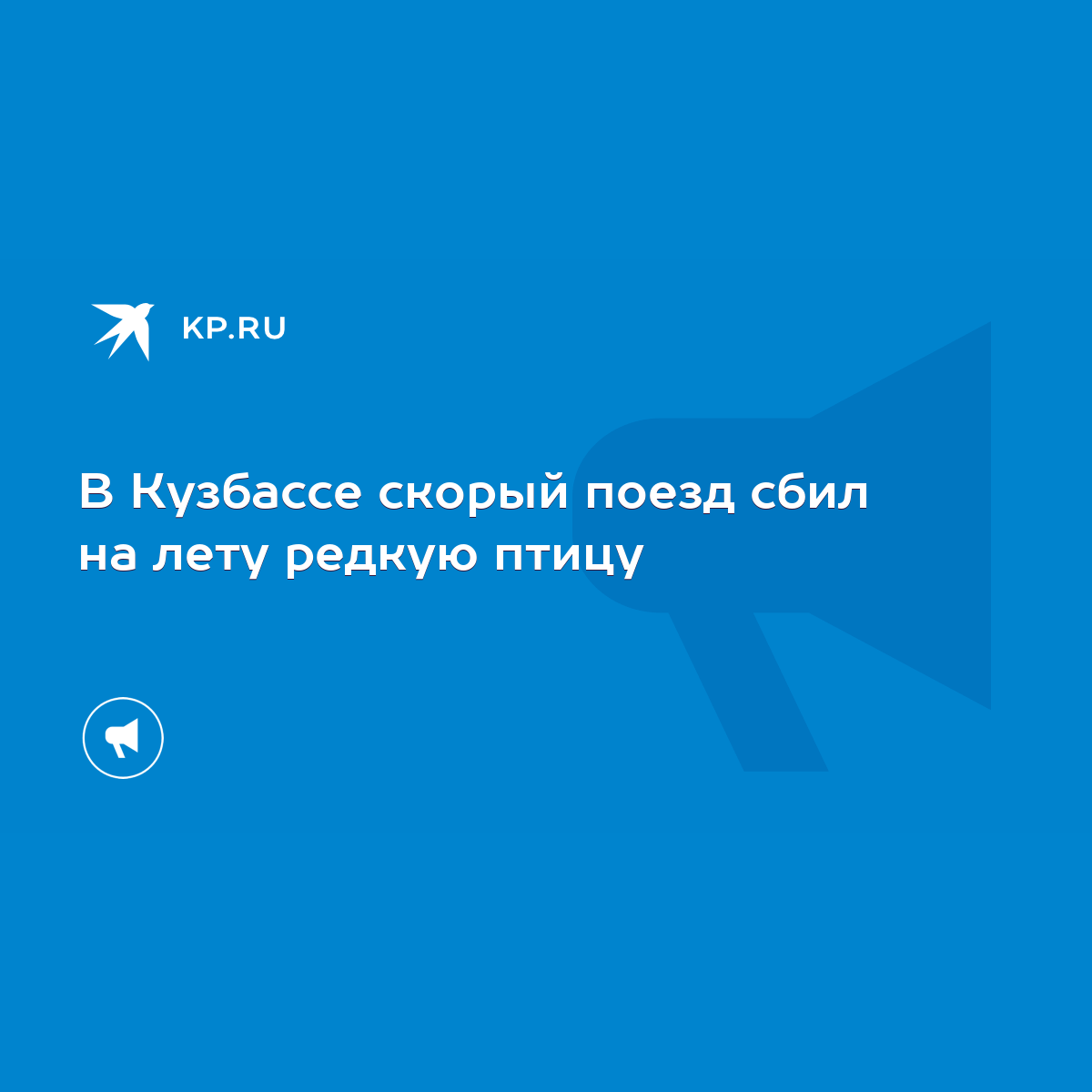 В Кузбассе скорый поезд сбил на лету редкую птицу - KP.RU