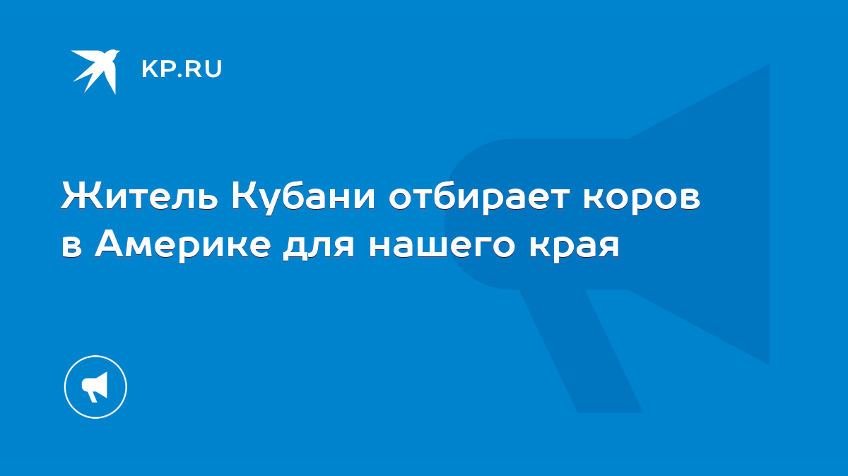 Житель Кубани отбирает коров в Америке для нашего края - KP.RU