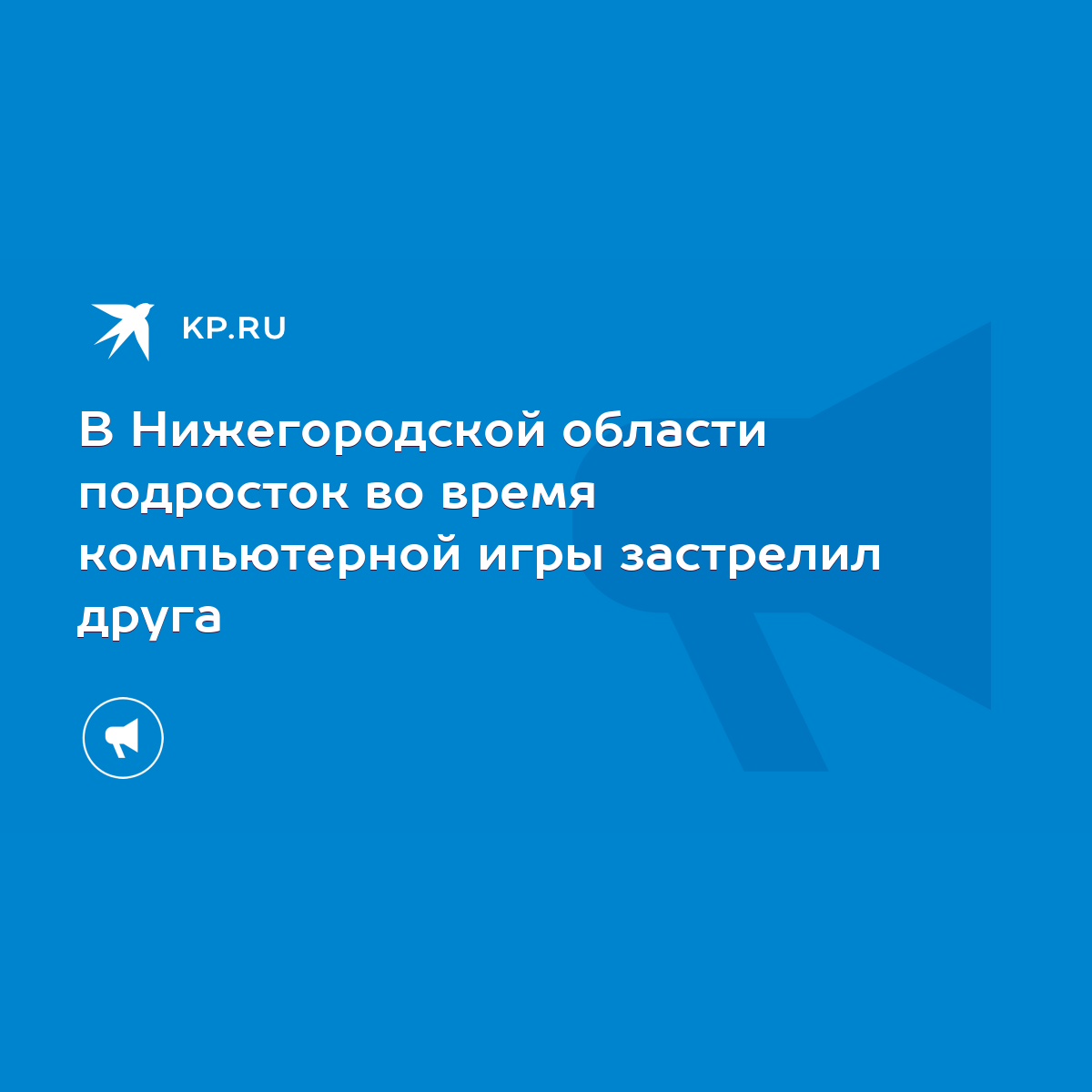 В Нижегородской области подросток во время компьютерной игры застрелил  друга - KP.RU