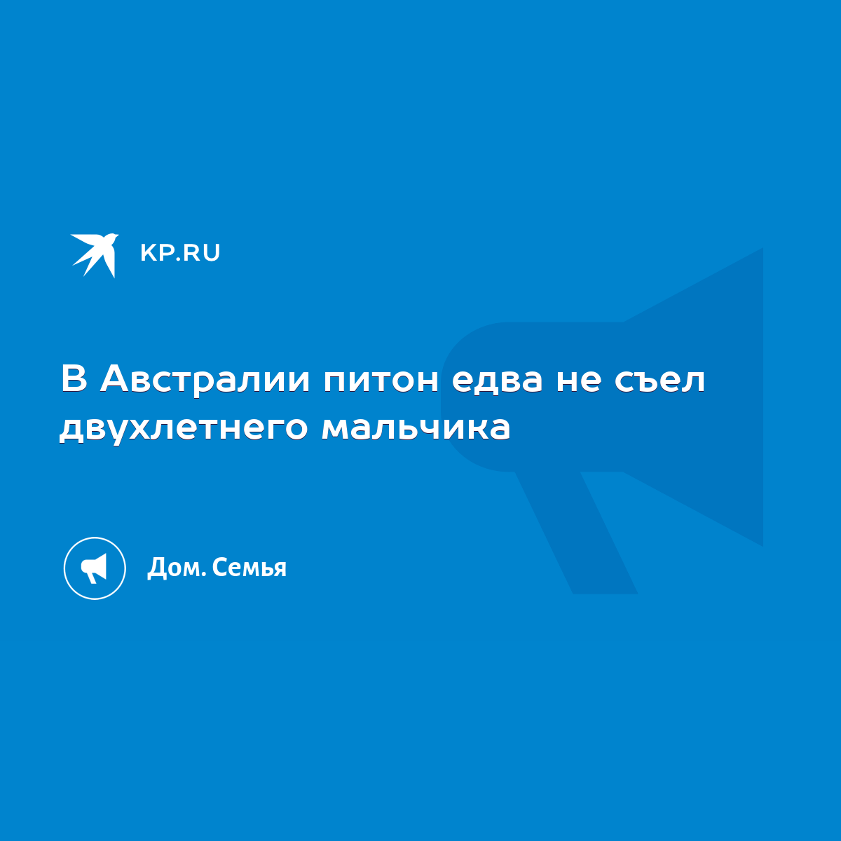 В Австралии питон едва не съел двухлетнего мальчика - KP.RU