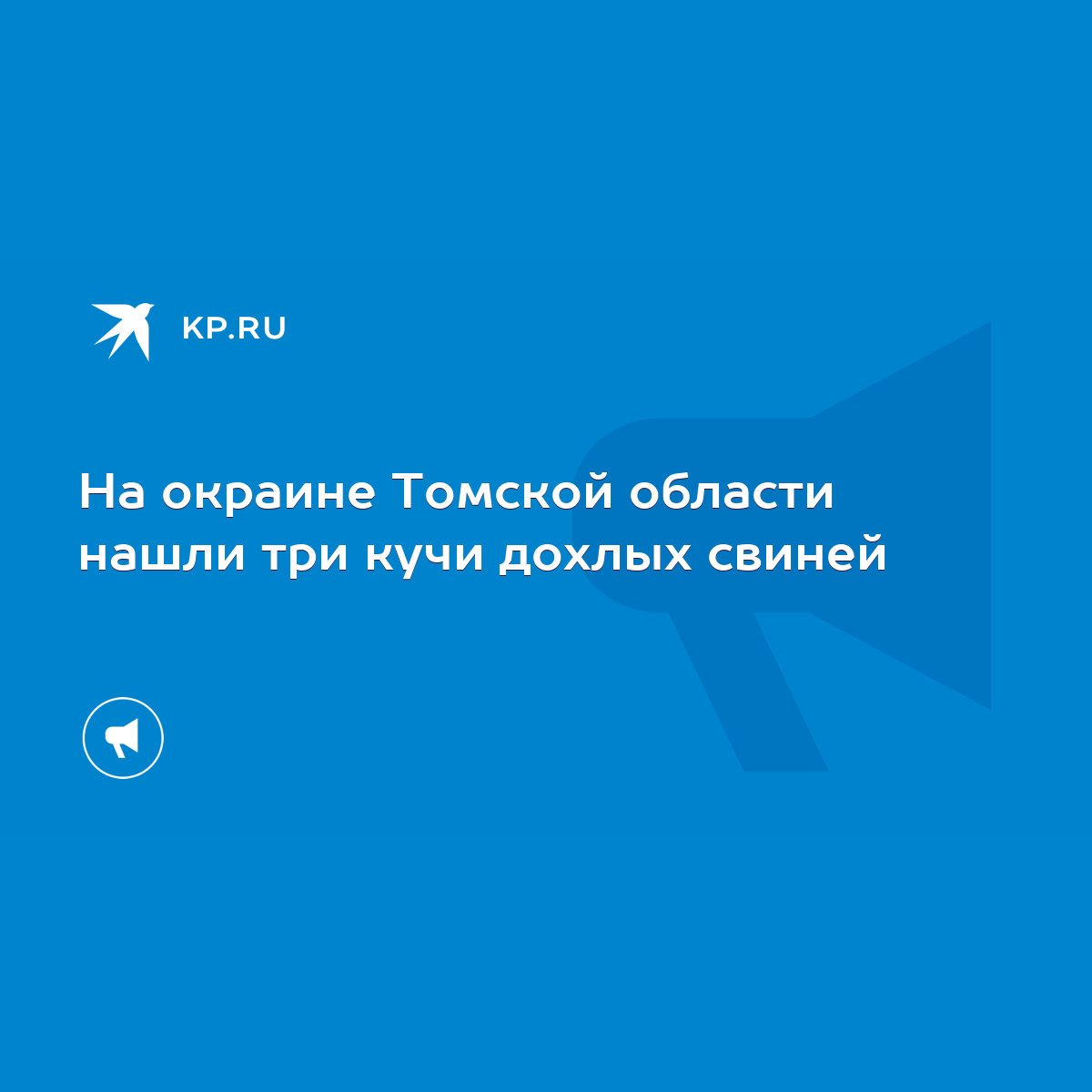 Поголовье под угрозой: три кучи мертвых свиней обнаружены в соседнем районе