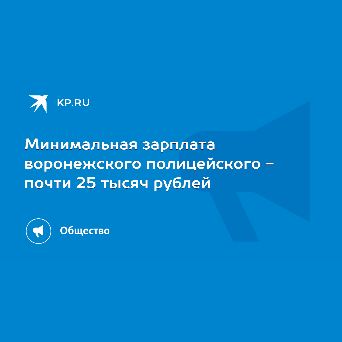 Минимальная зарплата воронежского полицейского - почти 25 тысяч рублей -  KP.RU