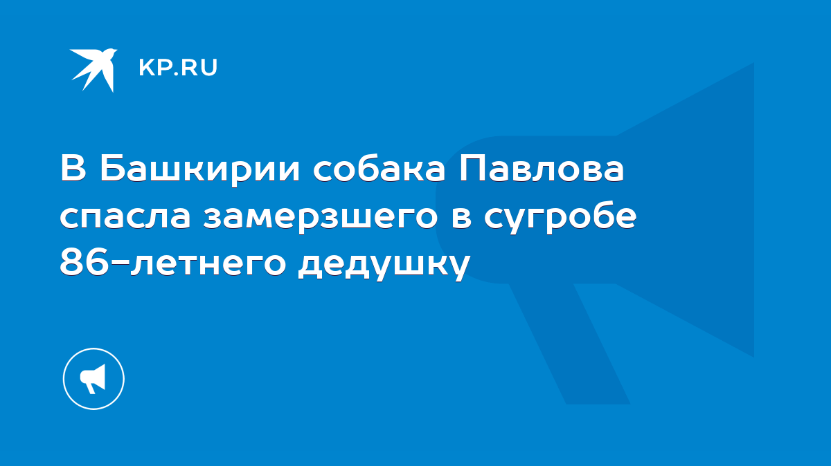 В Башкирии собака Павлова спасла замерзшего в сугробе 86-летнего дедушку -  KP.RU