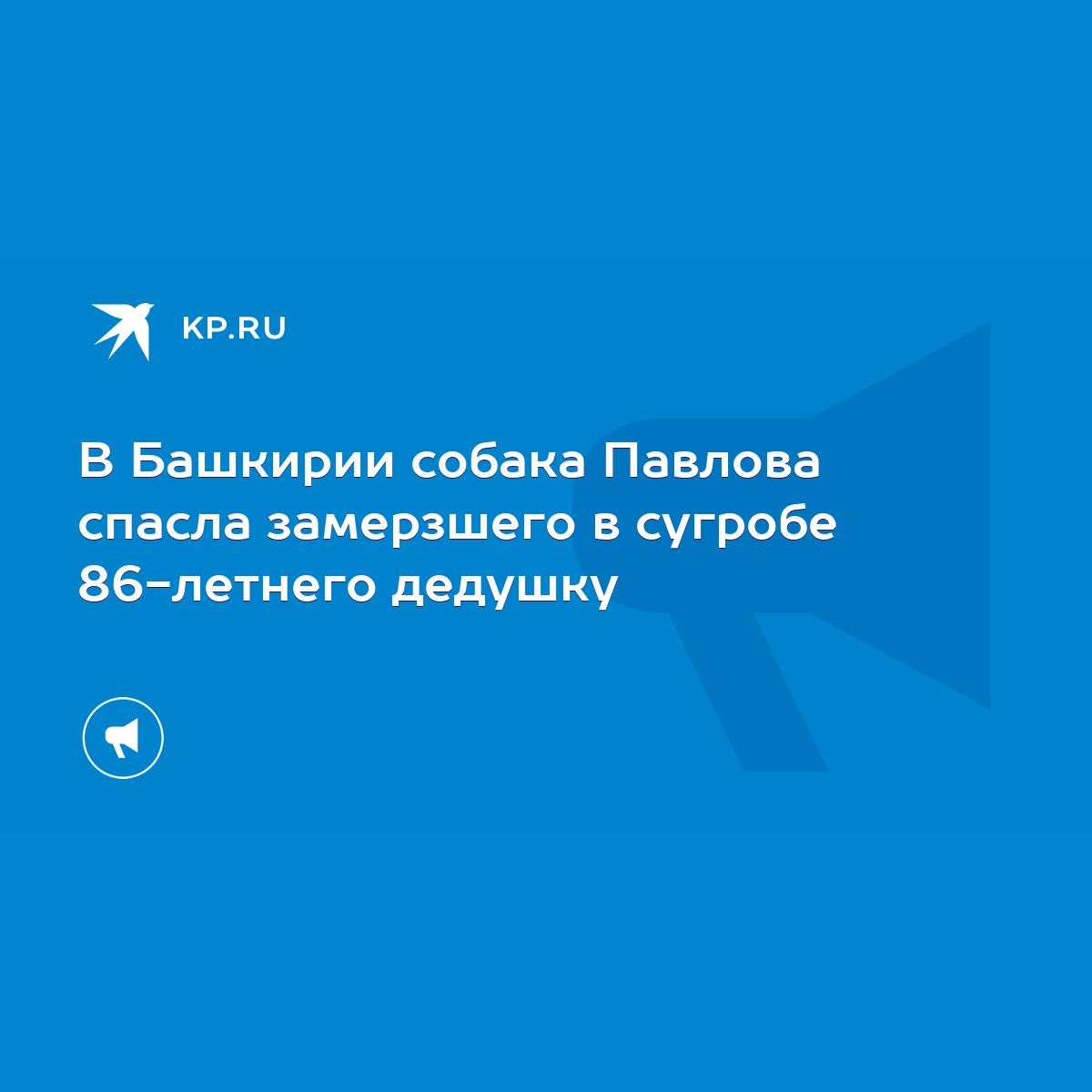 В Башкирии собака Павлова спасла замерзшего в сугробе 86-летнего дедушку -  KP.RU