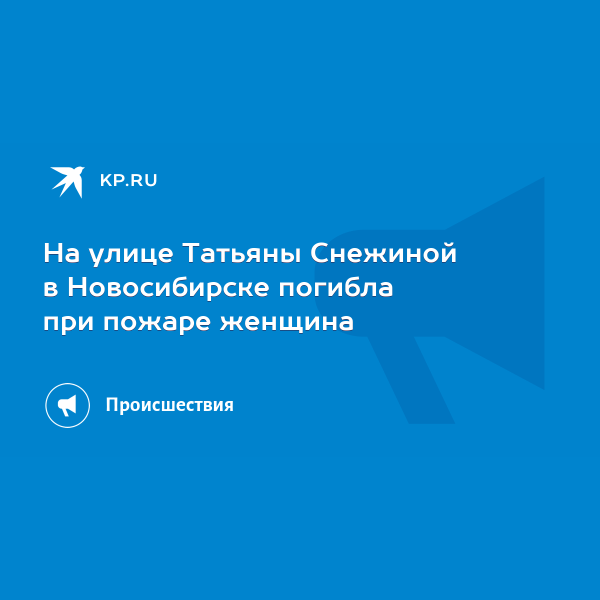 На улице Татьяны Снежиной в Новосибирске погибла при пожаре женщина - KP.RU