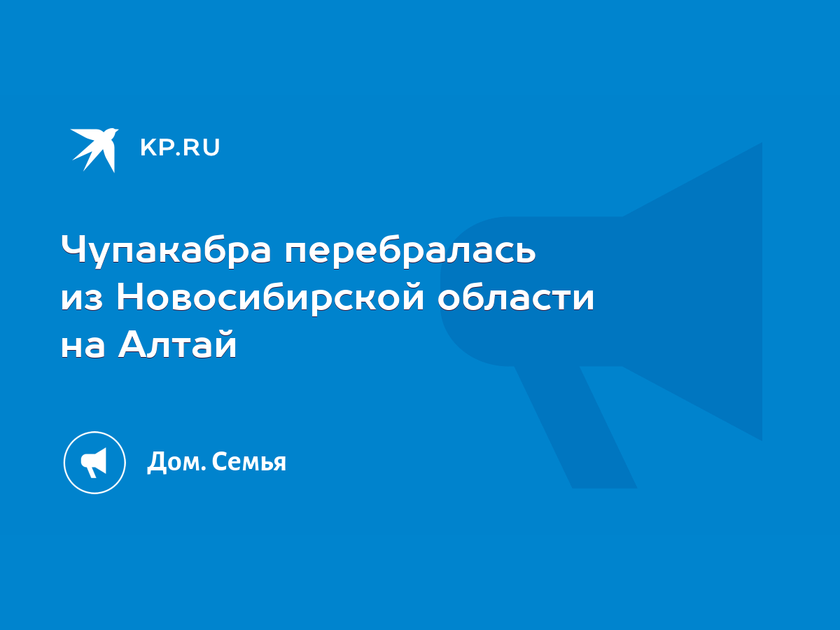 Чупакабра перебралась из Новосибирской области на Алтай - KP.RU