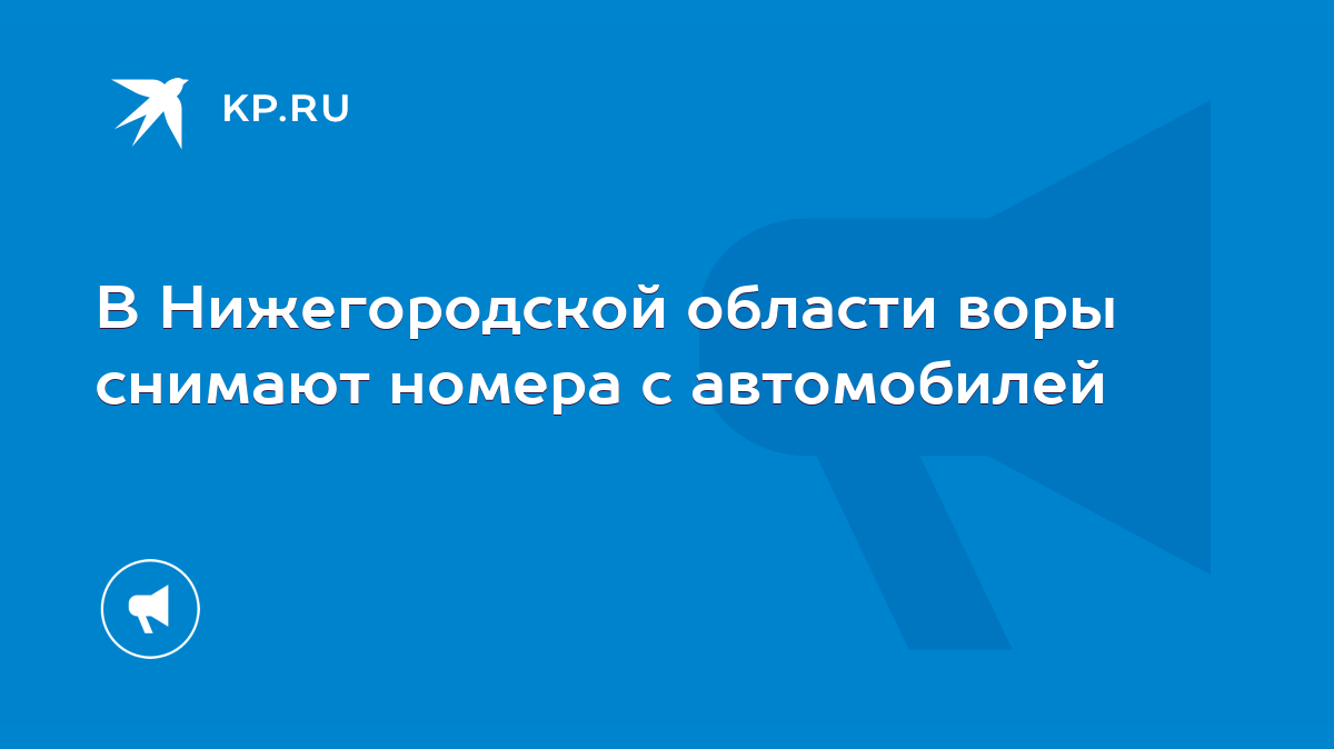 В Нижегородской области воры снимают номера с автомобилей - KP.RU