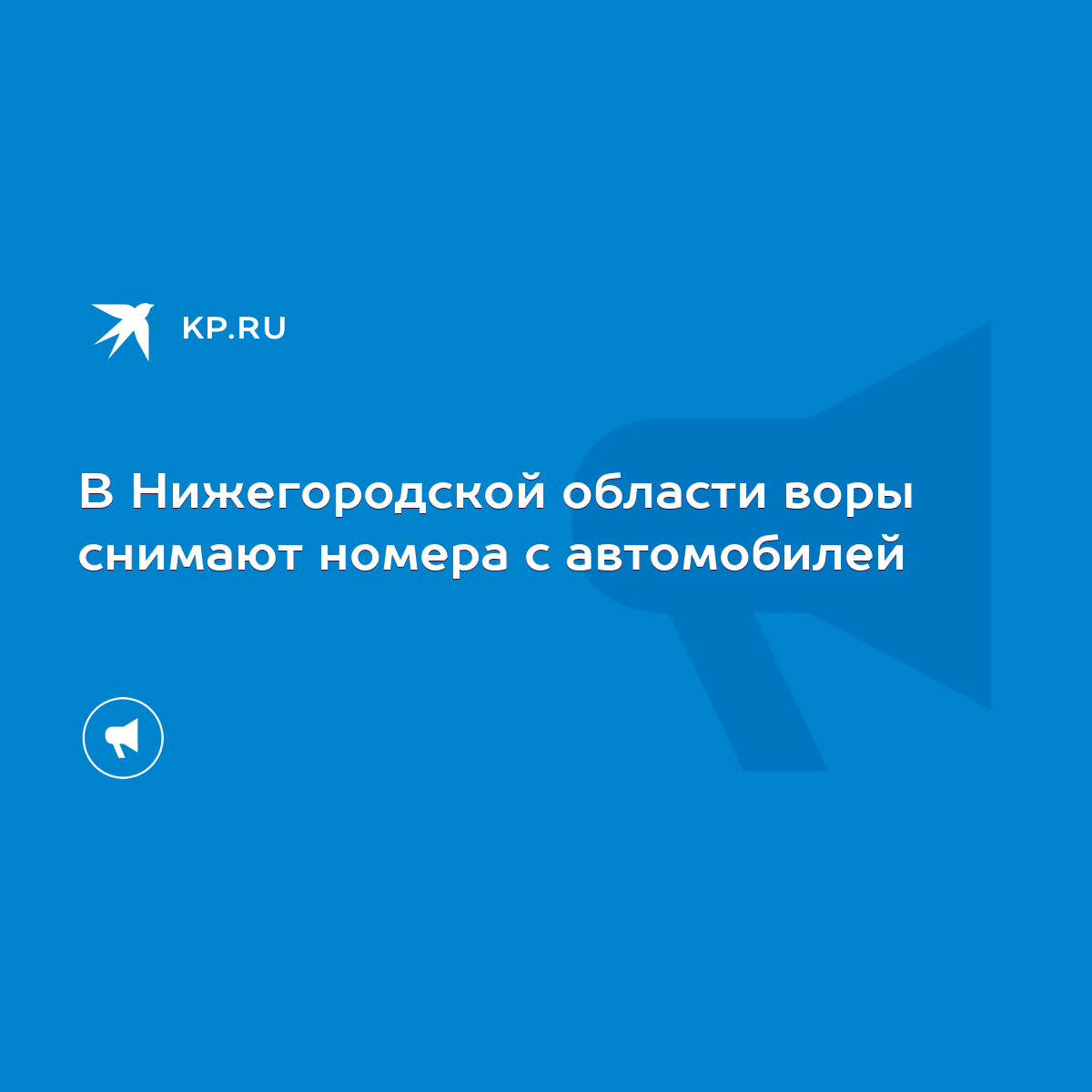 В Нижегородской области воры снимают номера с автомобилей - KP.RU