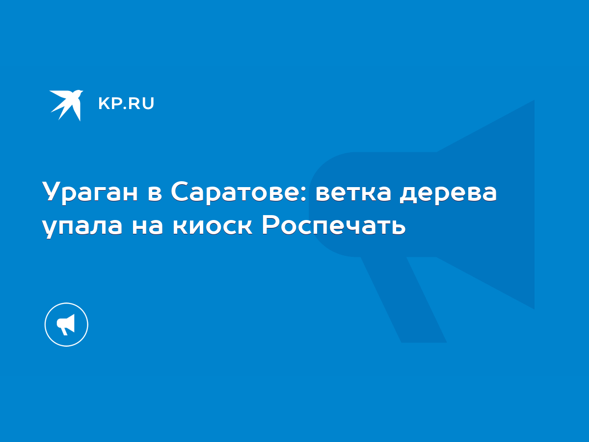 Ураган в Саратове: ветка дерева упала на киоск Роспечать - KP.RU