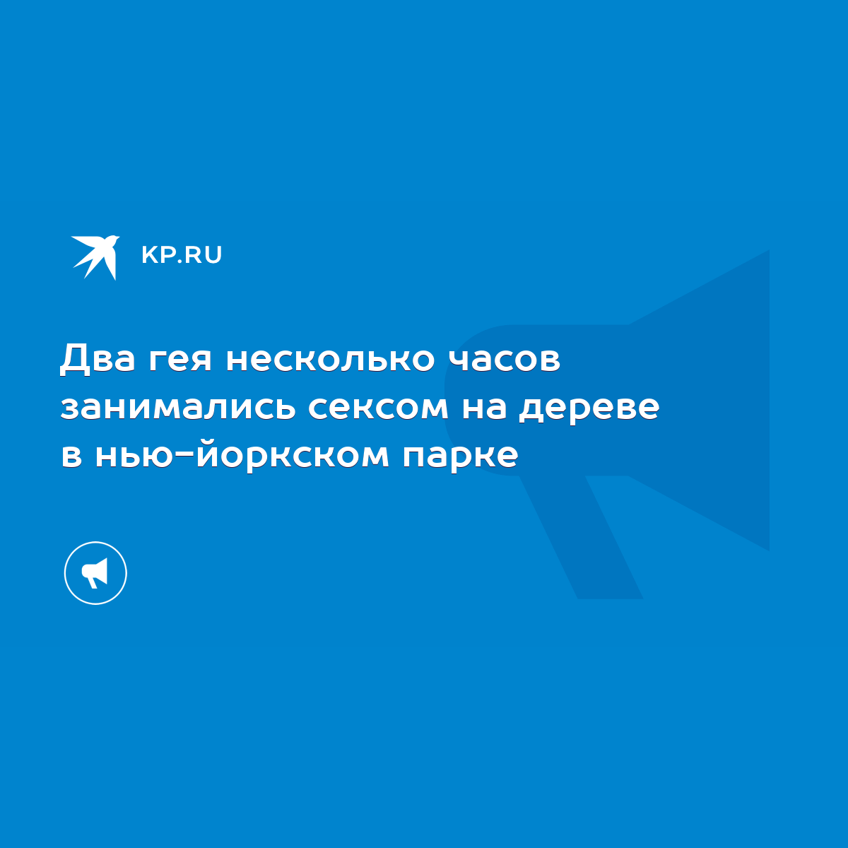 Два гея несколько часов занимались сексом на дереве в нью-йоркском парке -  KP.RU