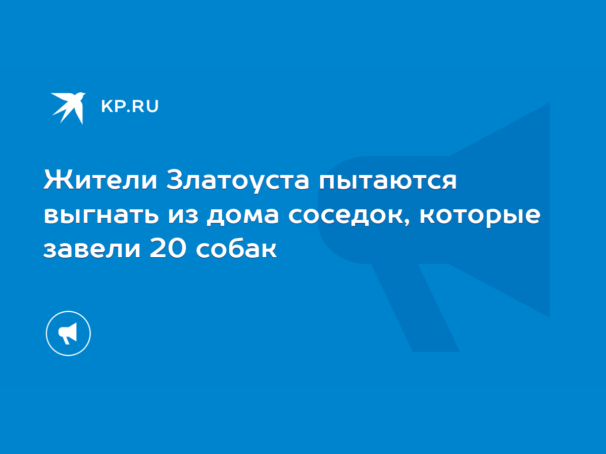 Жители Златоуста пытаются выгнать из дома соседок, которые завели 20 собак  - KP.RU