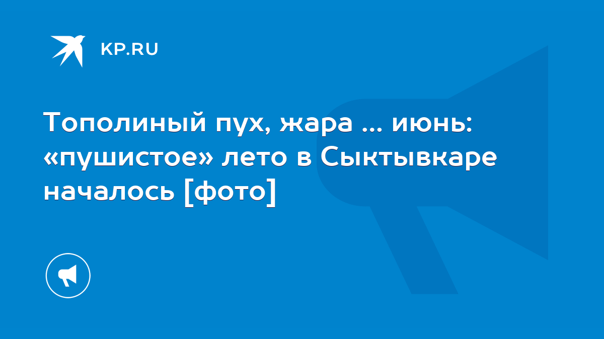 Тополиный пух, жара … июнь: «пушистое» лето в Сыктывкаре началось [фото] -  KP.RU