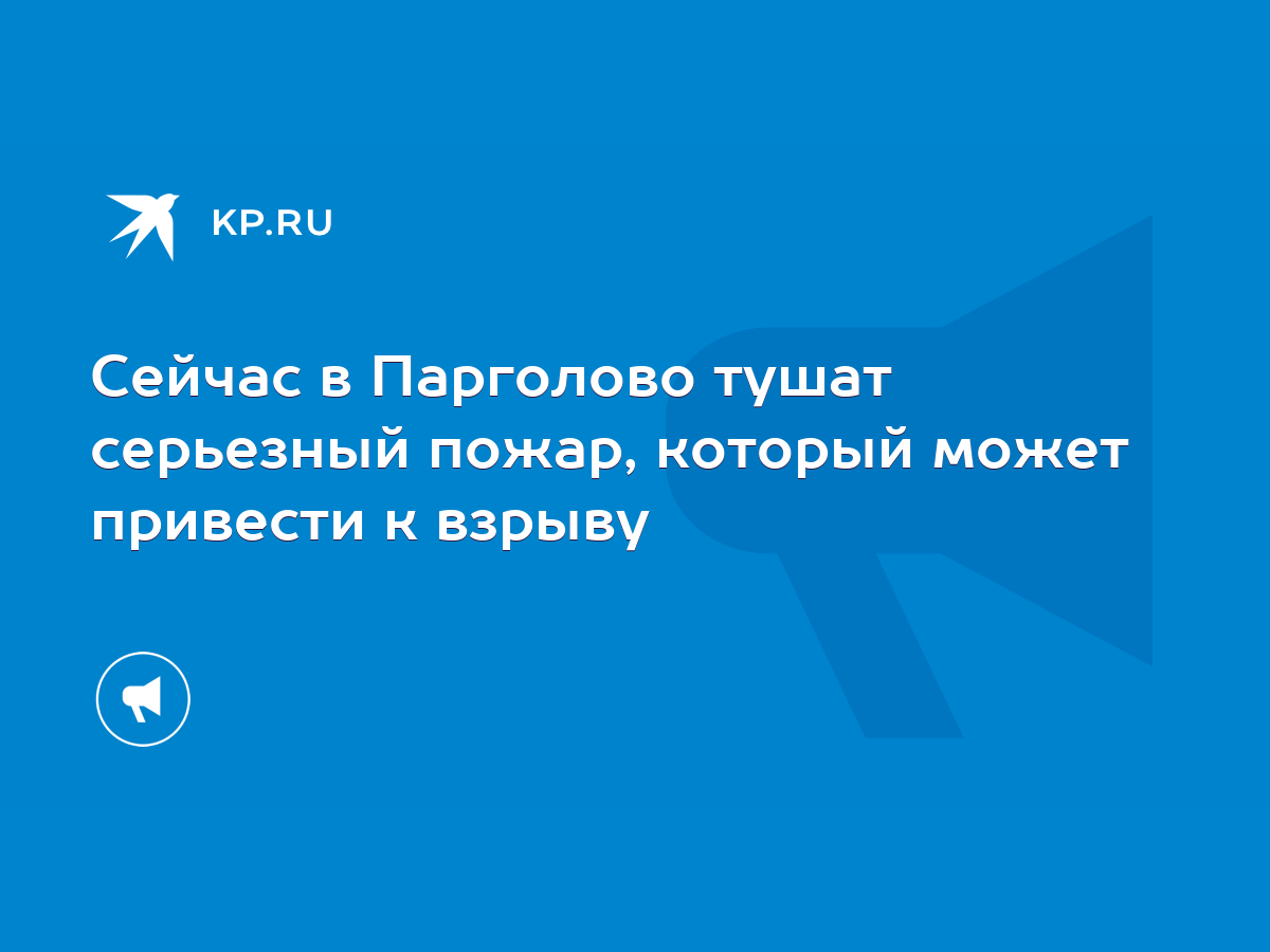 Сейчас в Парголово тушат серьезный пожар, который может привести к взрыву -  KP.RU