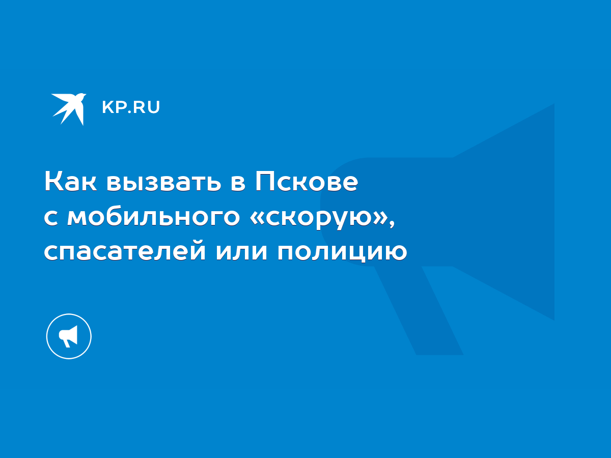 Как вызвать в Пскове с мобильного «скорую», спасателей или полицию - KP.RU