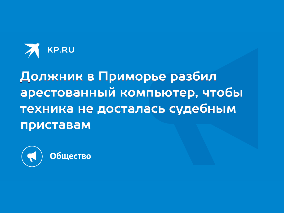 Должник в Приморье разбил арестованный компьютер, чтобы техника не  досталась судебным приставам - KP.RU