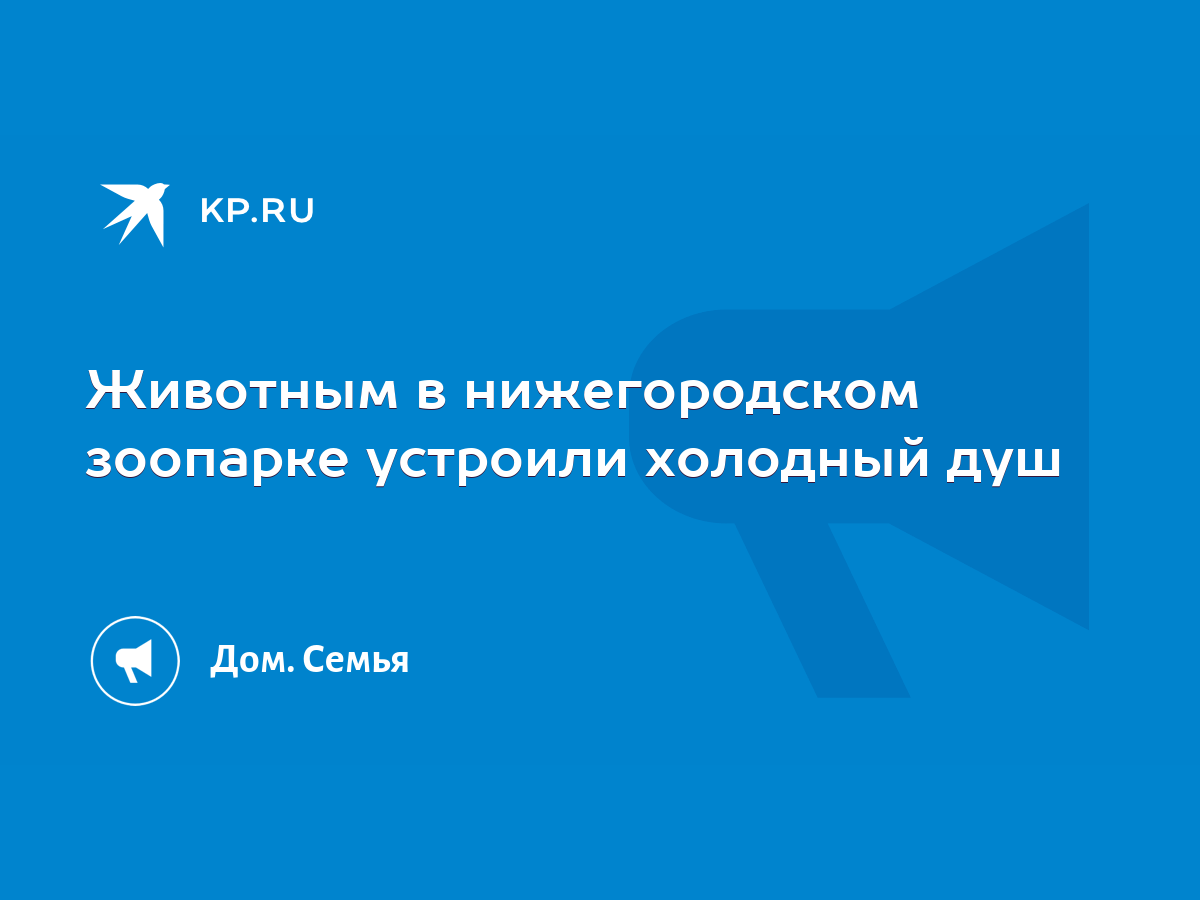 Животным в нижегородском зоопарке устроили холодный душ - KP.RU