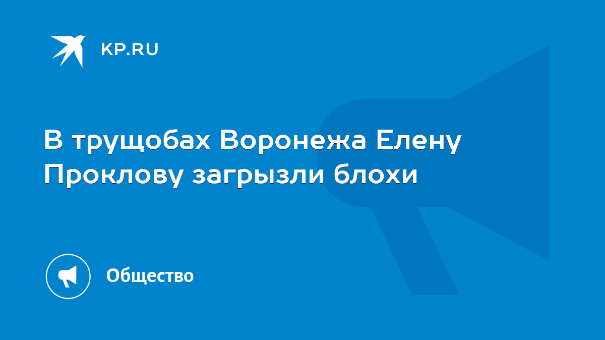 В трущобах Воронежа Елену Проклову загрызли блохи - KP.RU