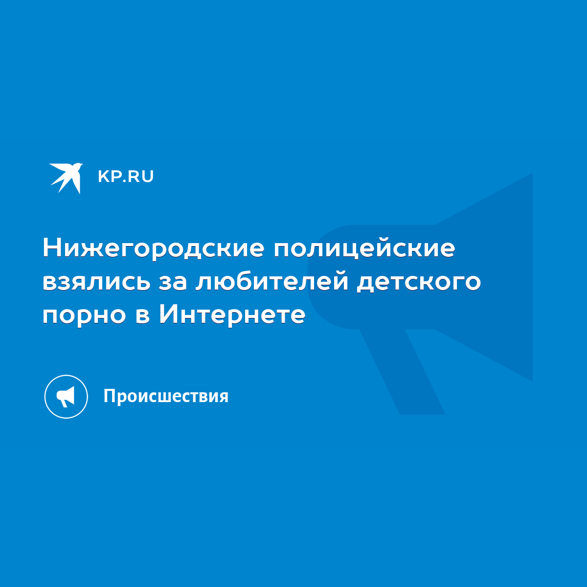 Нижегородские полицейские взялись за любителей детского порно в Интернете -  KP.RU