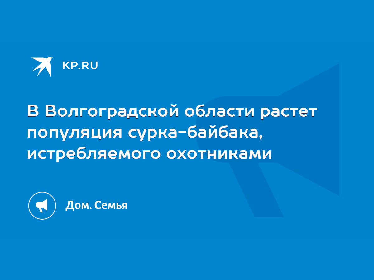 В Волгоградской области растет популяция сурка-байбака, истребляемого  охотниками - KP.RU