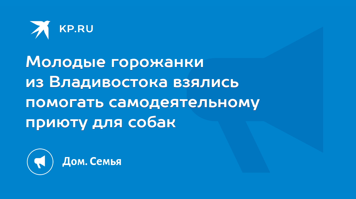 Молодые горожанки из Владивостока взялись помогать самодеятельному приюту  для собак - KP.RU