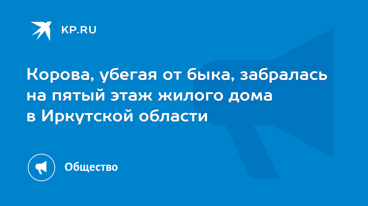 Корова, убегая от быка, забралась на пятый этаж жилого дома в Иркутской  области - KP.RU