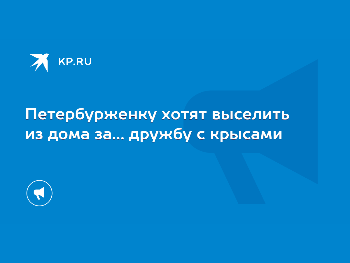 Петербурженку хотят выселить из дома за… дружбу с крысами - KP.RU