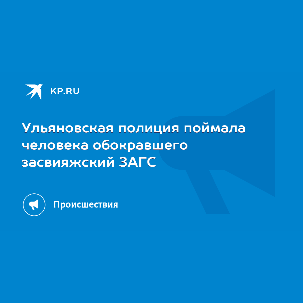 Ульяновская полиция поймала человека обокравшего засвияжский ЗАГС - KP.RU