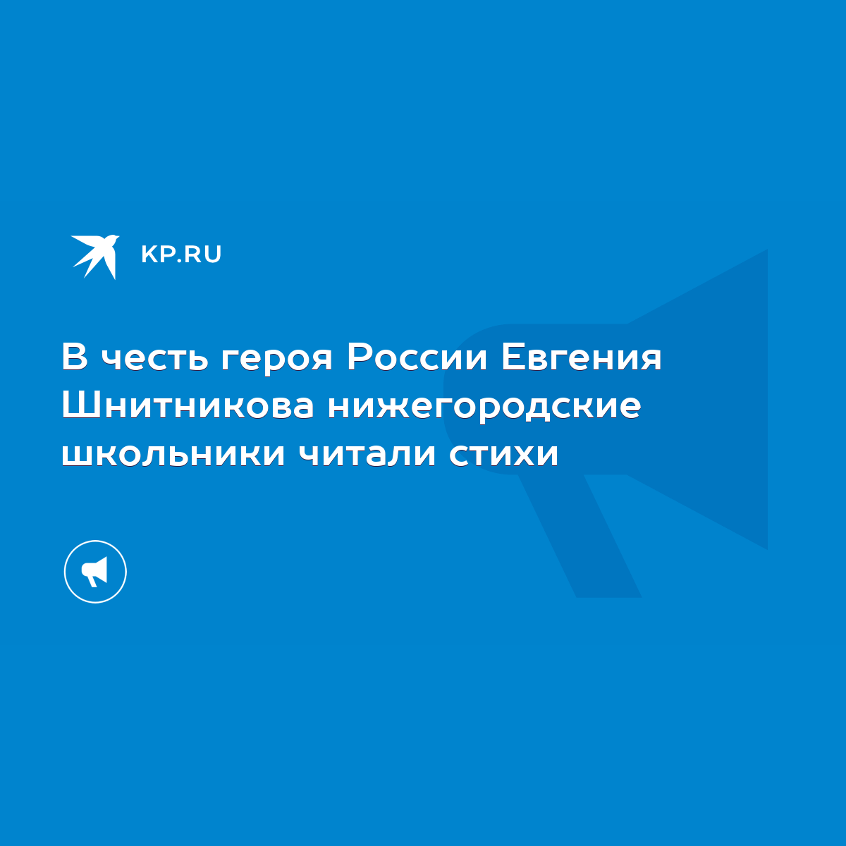 В честь героя России Евгения Шнитникова нижегородские школьники читали  стихи - KP.RU