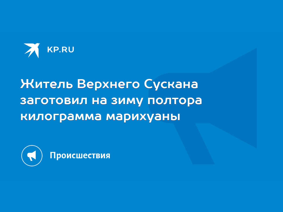 Житель Верхнего Сускана заготовил на зиму полтора килограмма марихуаны -  KP.RU