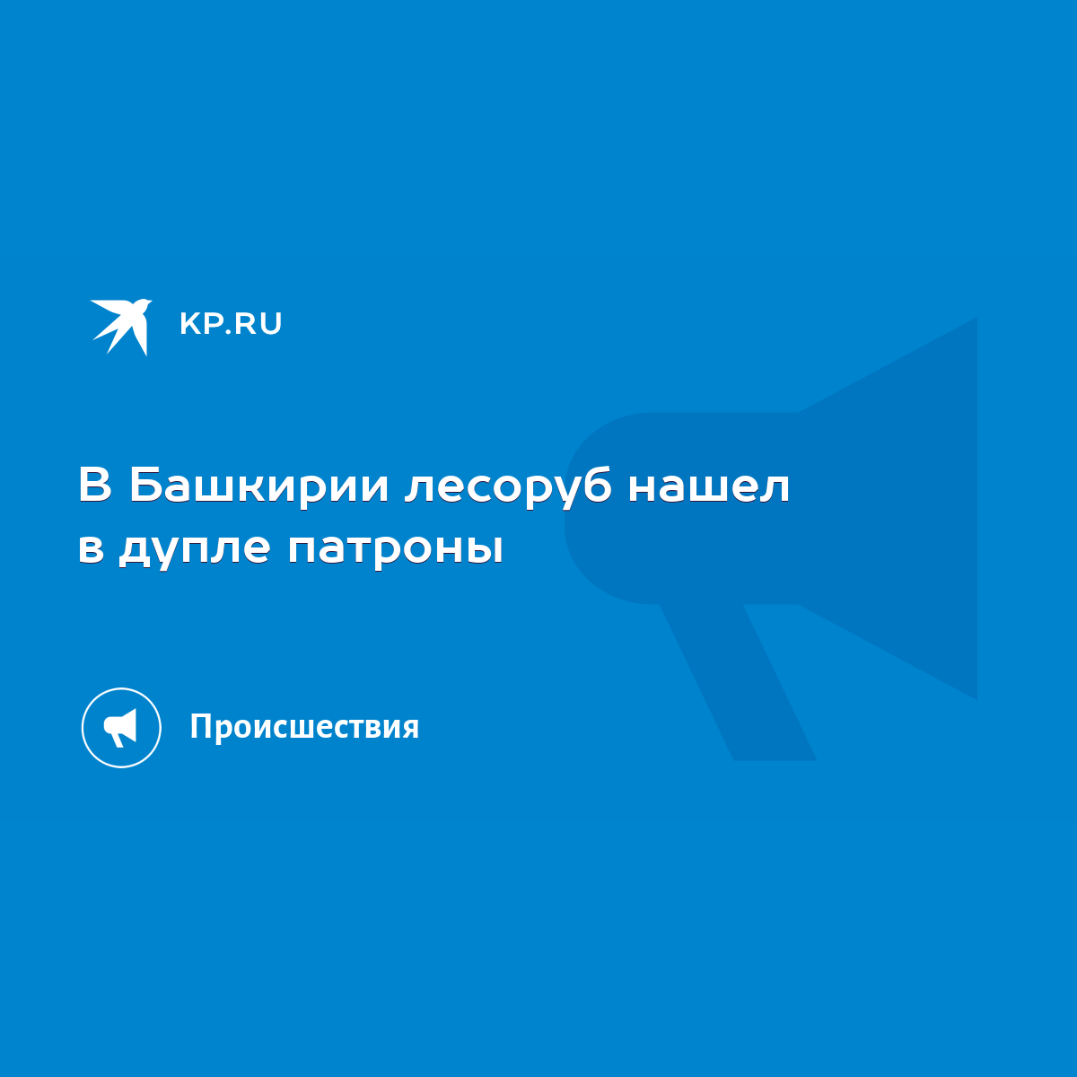 В Башкирии лесоруб нашел в дупле патроны - KP.RU