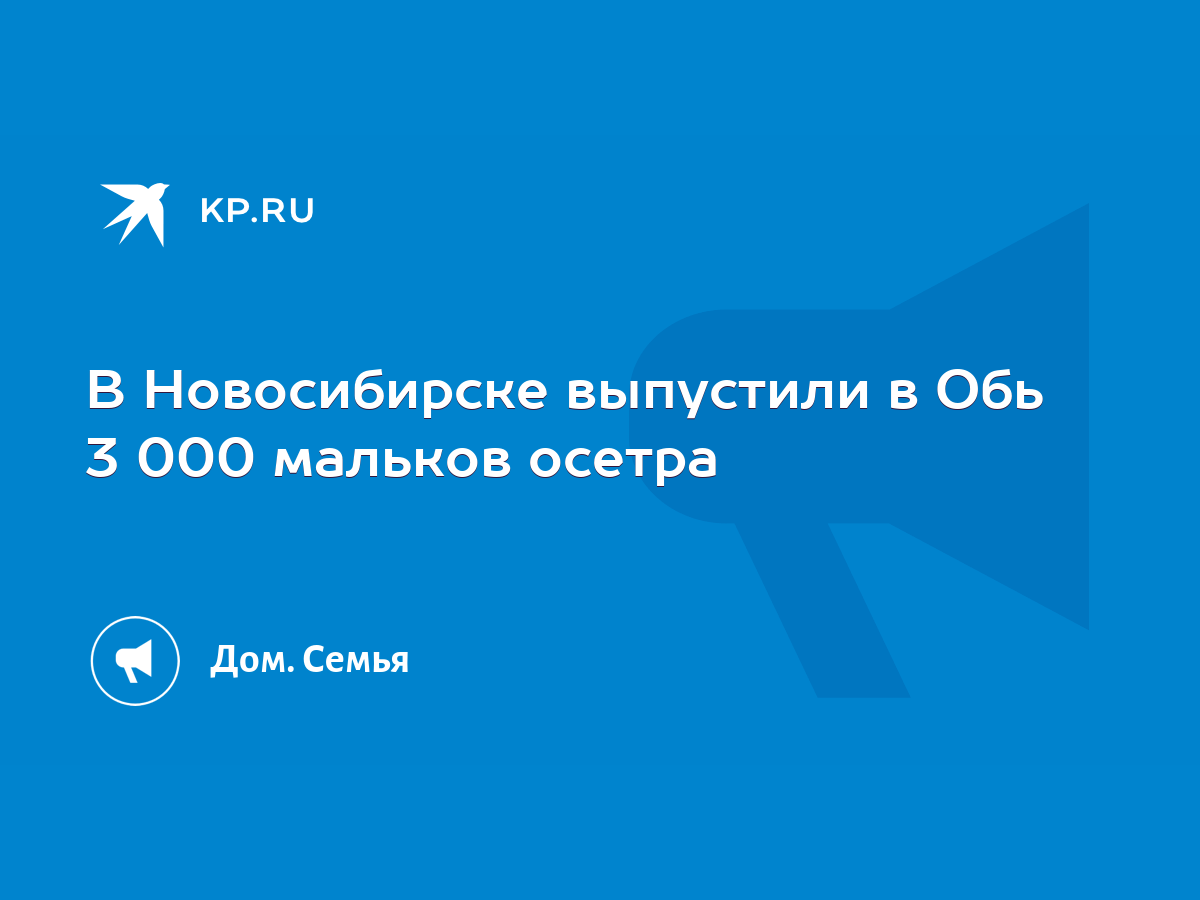 В Новосибирске выпустили в Обь 3 000 мальков осетра - KP.RU