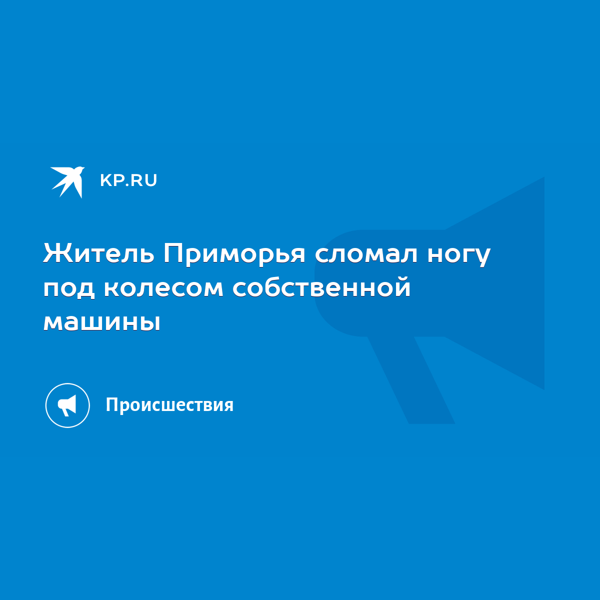 Житель Приморья сломал ногу под колесом собственной машины - KP.RU