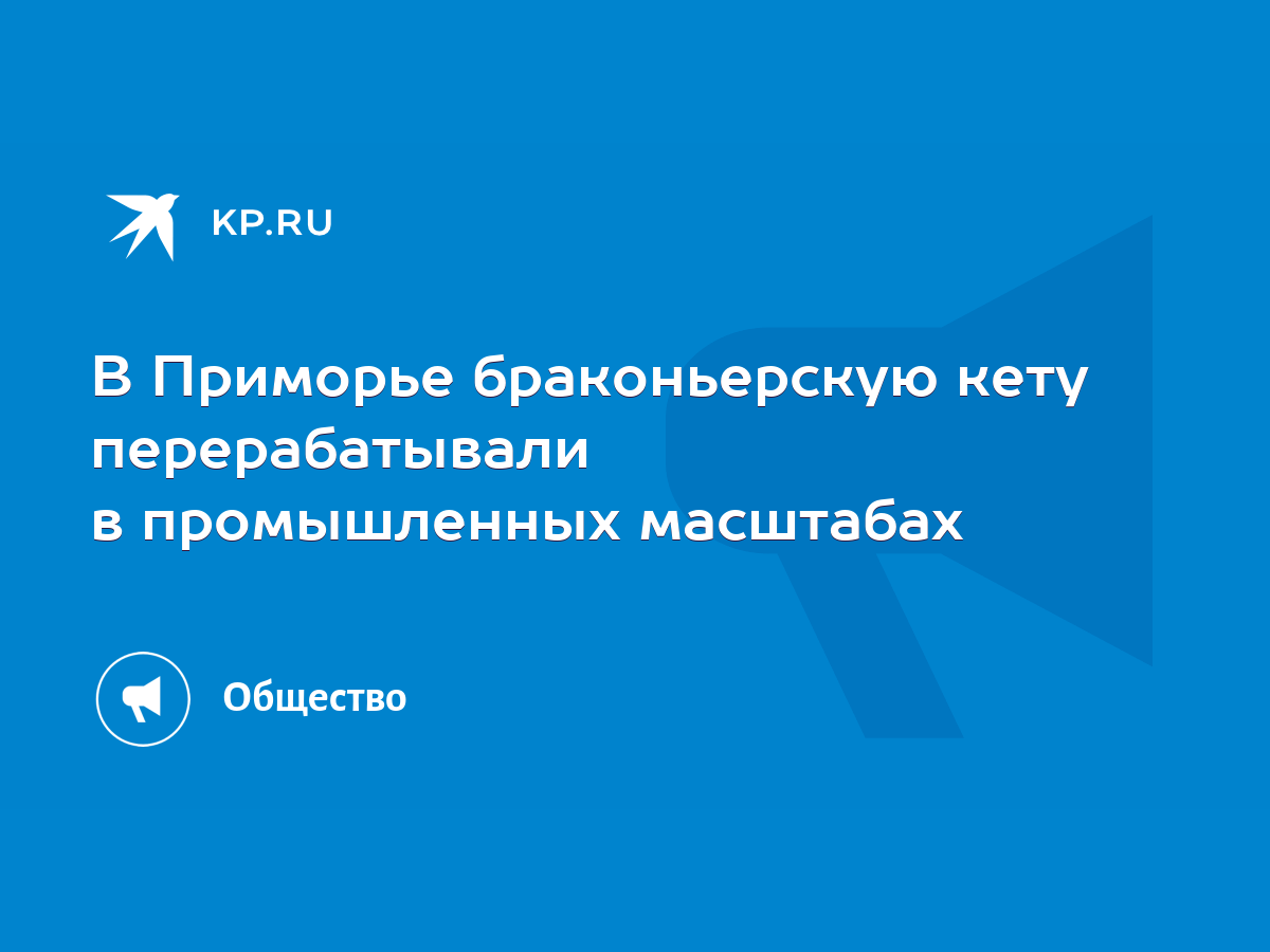 В Приморье браконьерскую кету перерабатывали в промышленных масштабах -  KP.RU