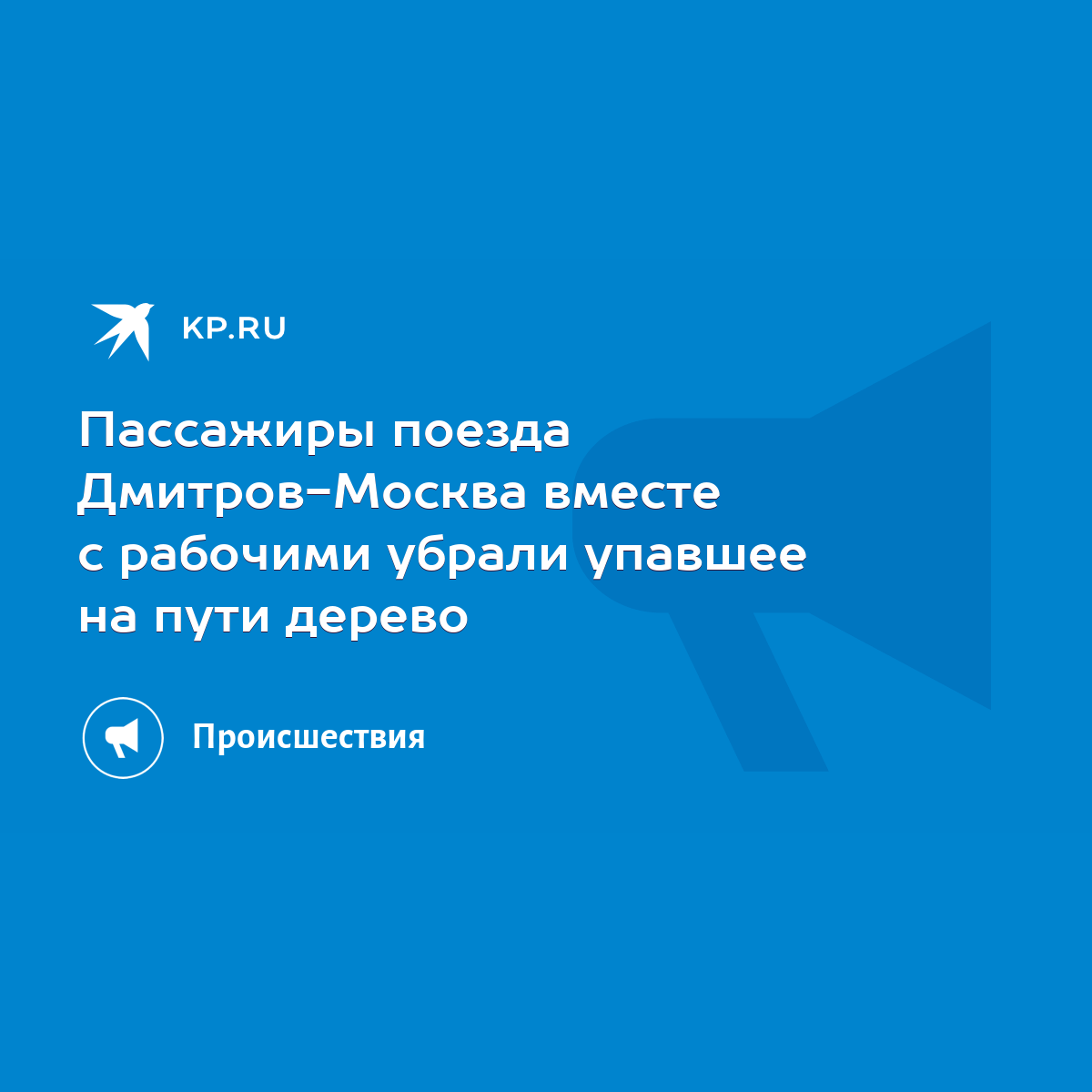 Пассажиры поезда Дмитров-Москва вместе с рабочими убрали упавшее на пути  дерево - KP.RU