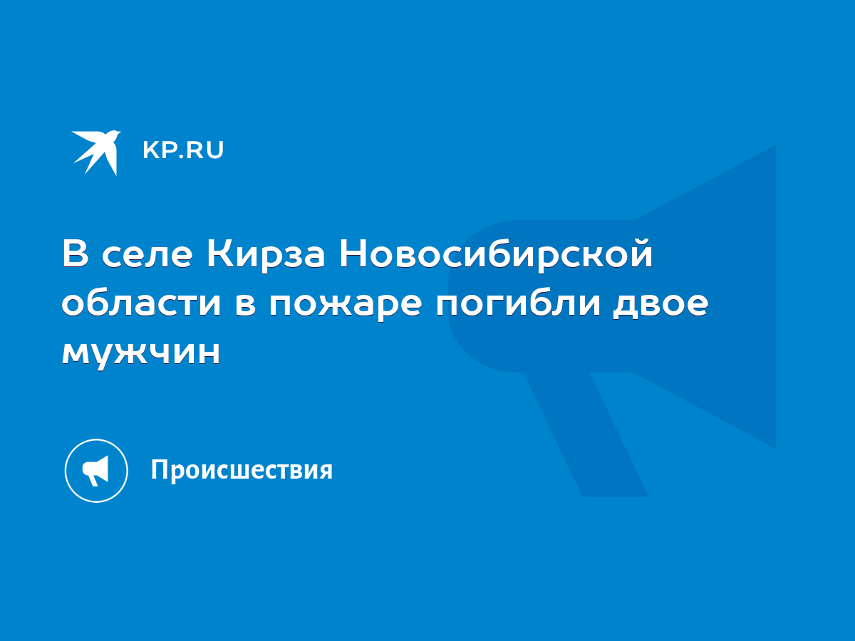 В селе Кирза Новосибирской области в пожаре погибли двое мужчин - KP.RU