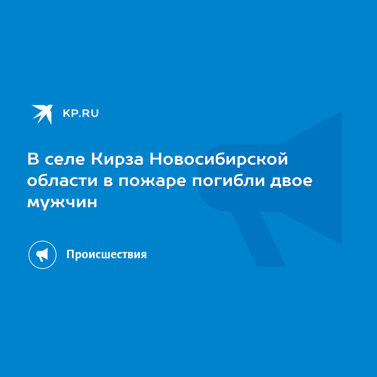 В селе Кирза Новосибирской области в пожаре погибли двое мужчин - KP.RU