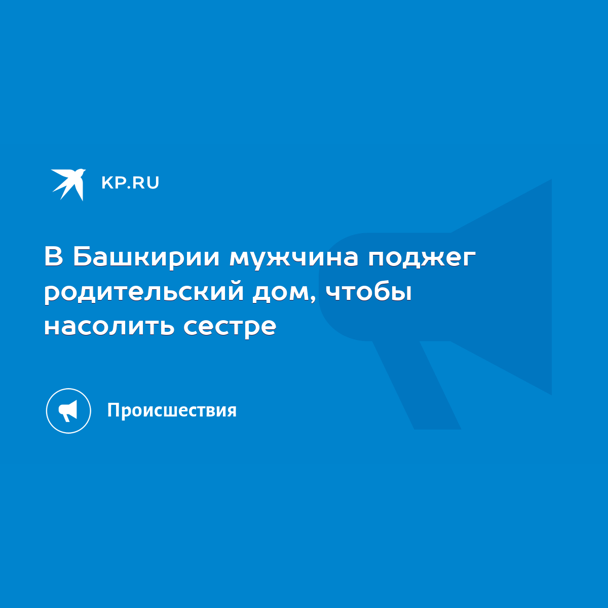 В Башкирии мужчина поджег родительский дом, чтобы насолить сестре - KP.RU