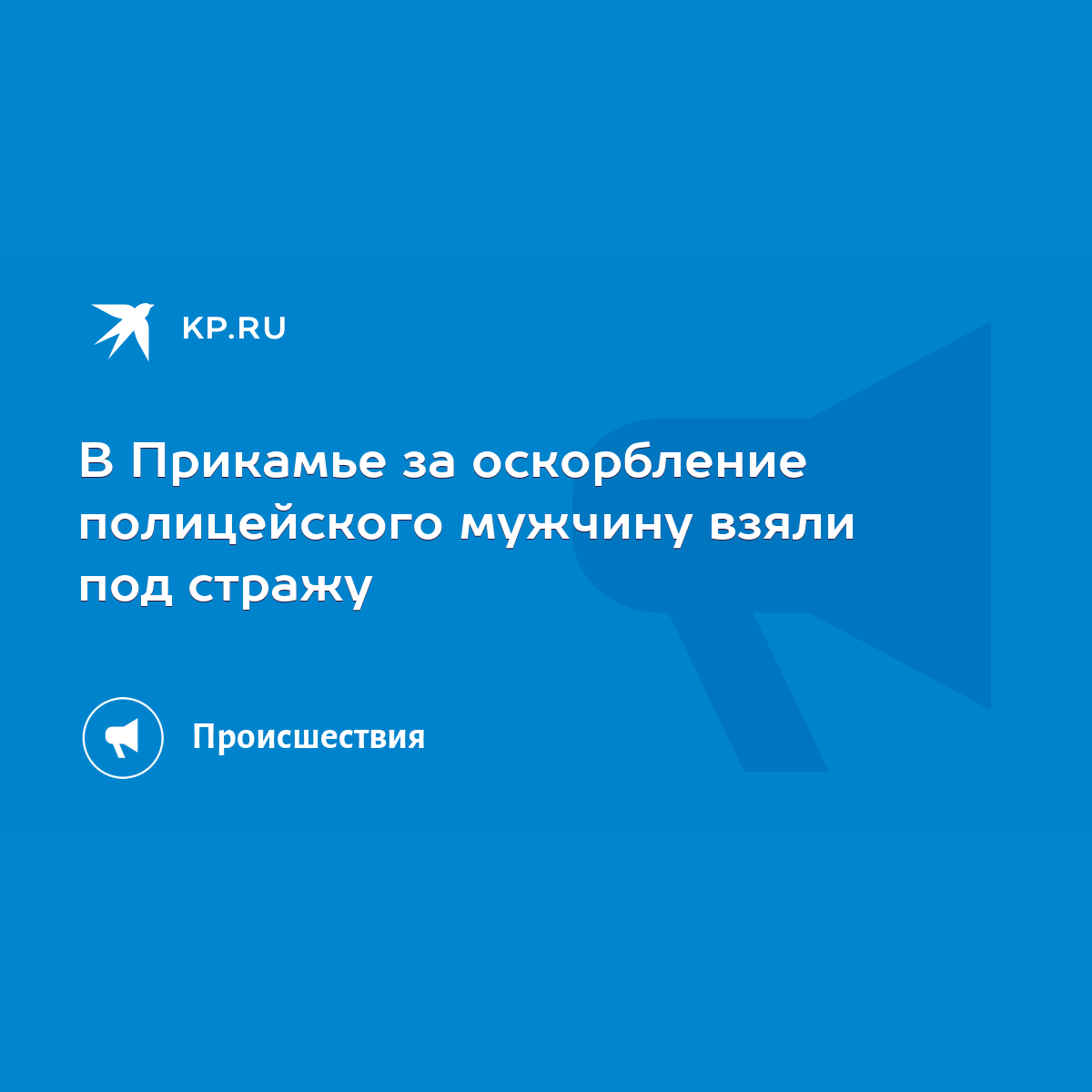 В Прикамье за оскорбление полицейского мужчину взяли под стражу - KP.RU