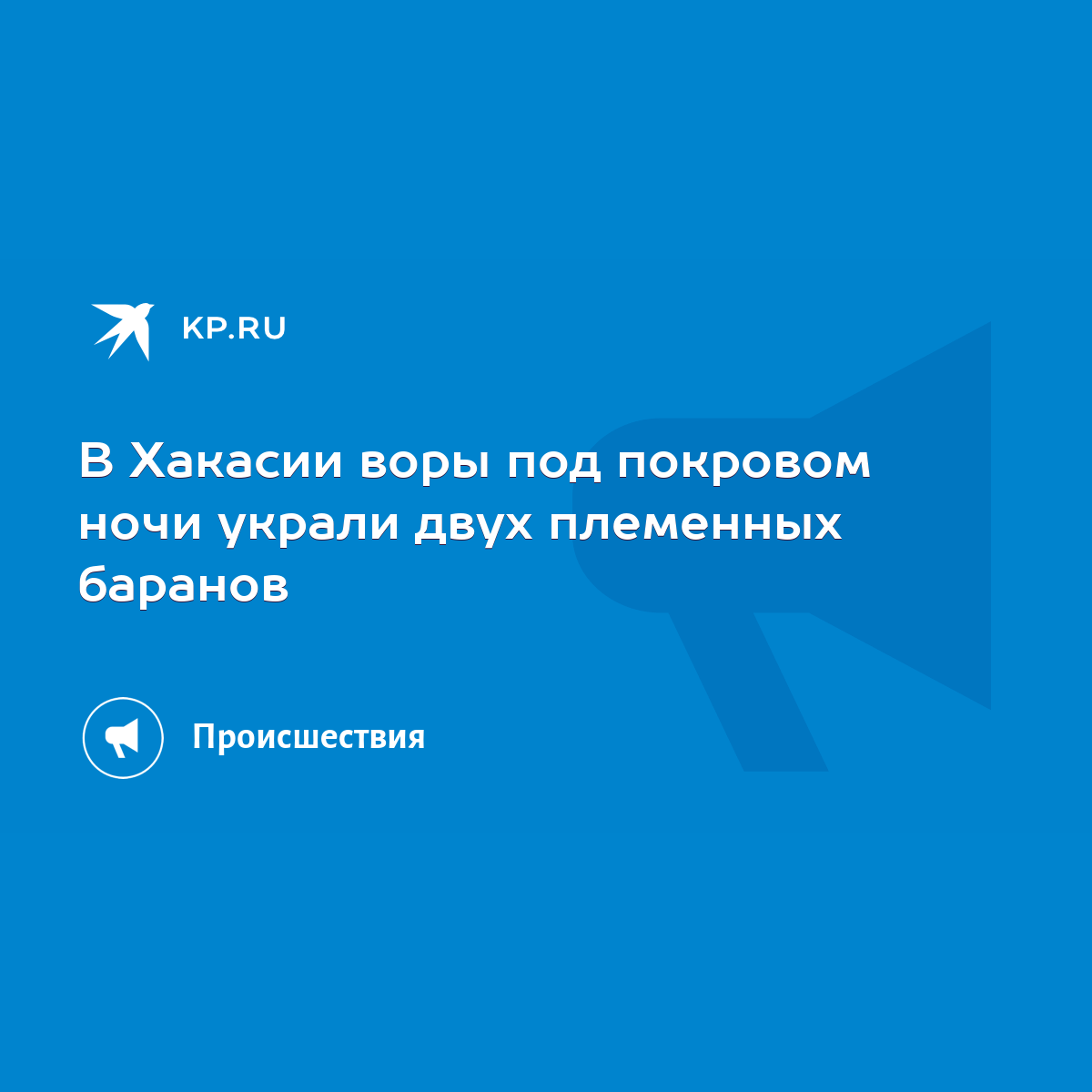 В Хакасии воры под покровом ночи украли двух племенных баранов - KP.RU