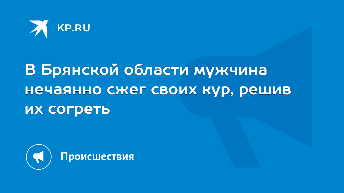 В Брянской области мужчина нечаянно сжег своих кур, решив их согреть - KP.RU