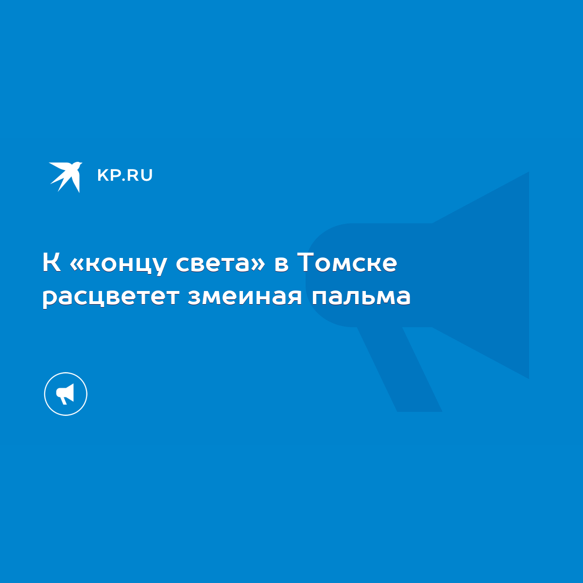 К «концу света» в Томске расцветет змеиная пальма - KP.RU