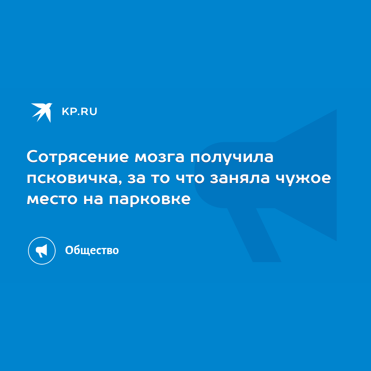 Сотрясение мозга получила псковичка, за то что заняла чужое место на  парковке - KP.RU