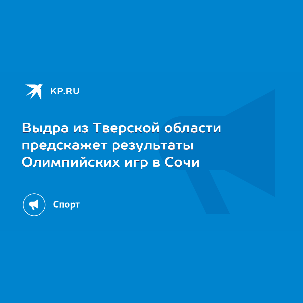 Выдра из Тверской области предскажет результаты Олимпийских игр в Сочи -  KP.RU