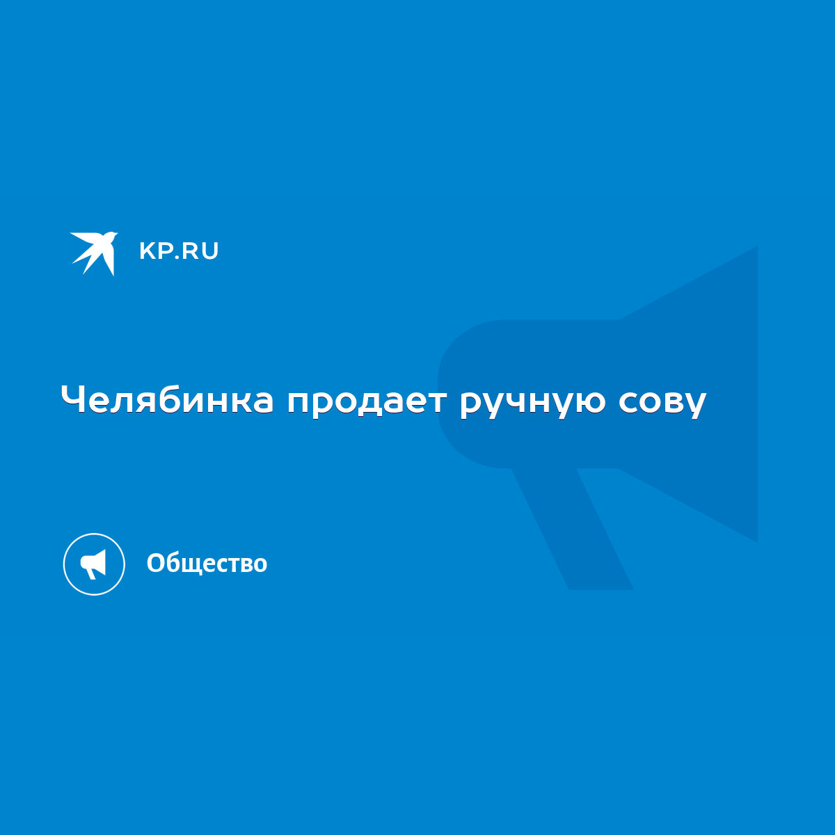 Челябинка продает ручную сову - KP.RU