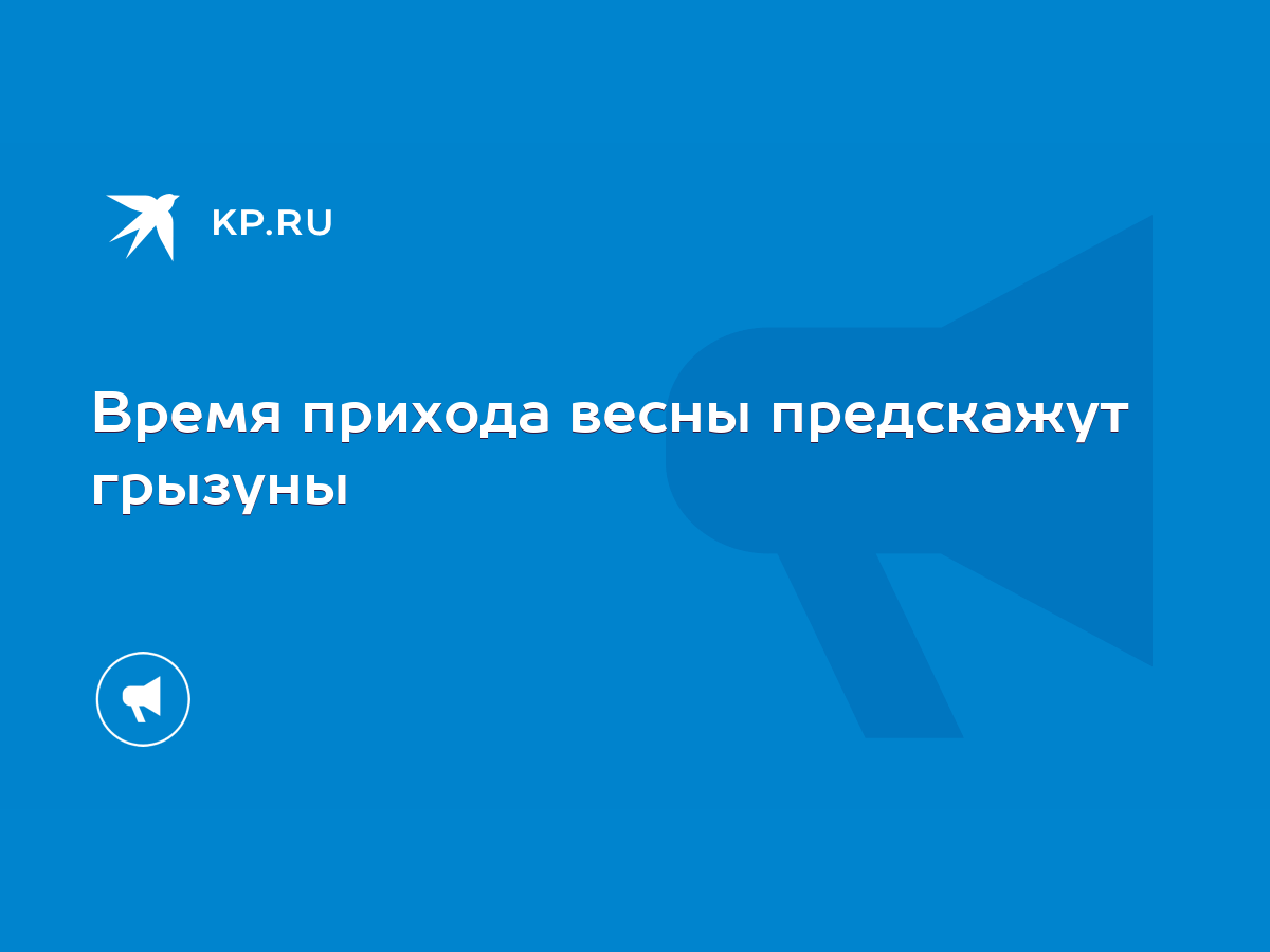 Время прихода весны предскажут грызуны - KP.RU