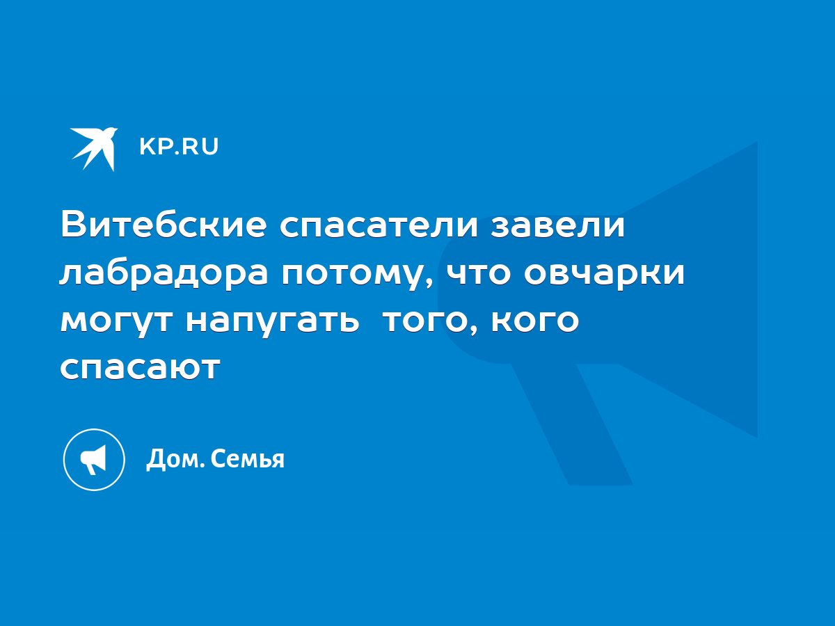 Витебские спасатели завели лабрадора потому, что овчарки могут напугать  того, кого спасают - KP.RU