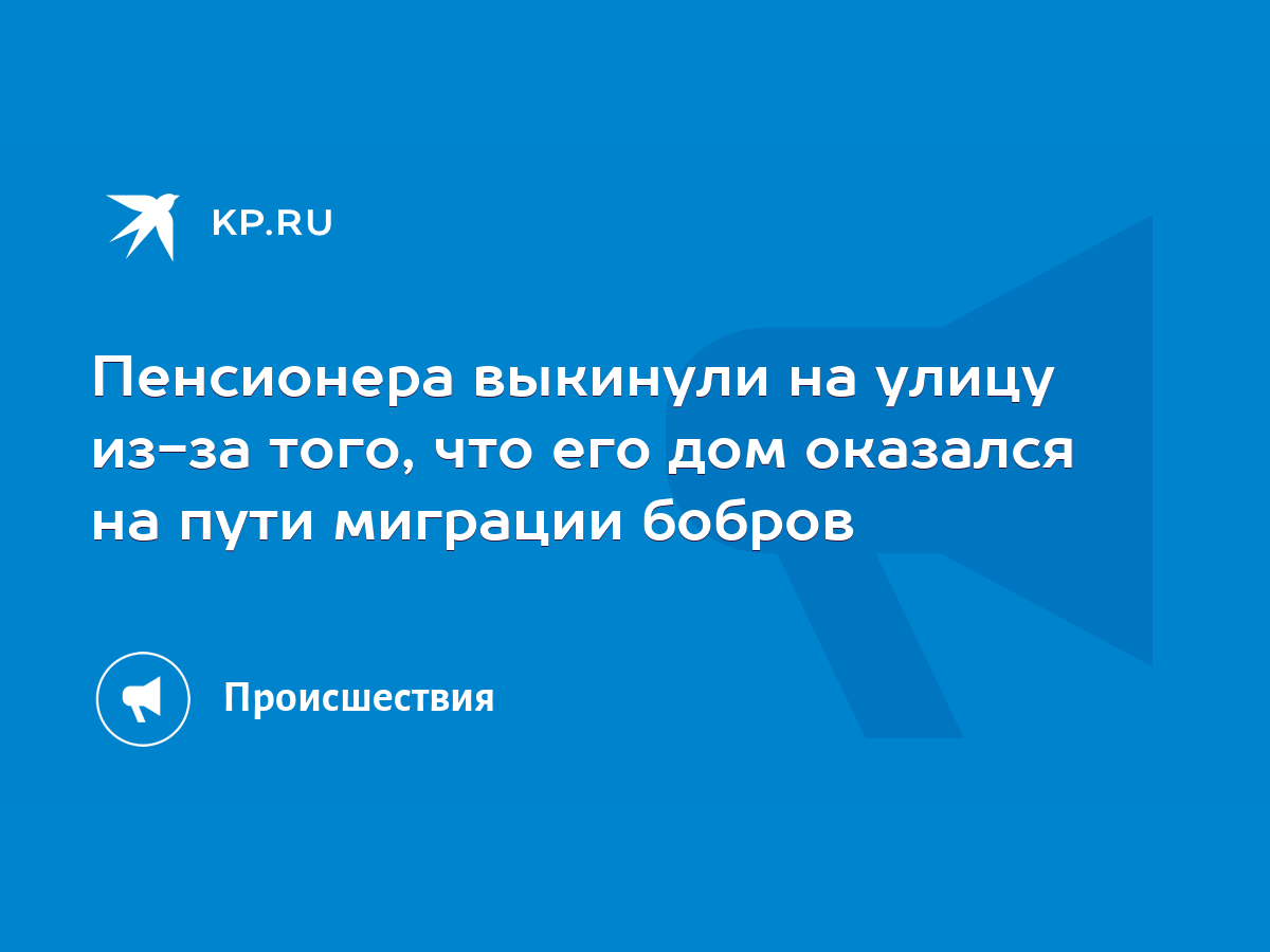 Пенсионера выкинули на улицу из-за того, что его дом оказался на пути  миграции бобров - KP.RU